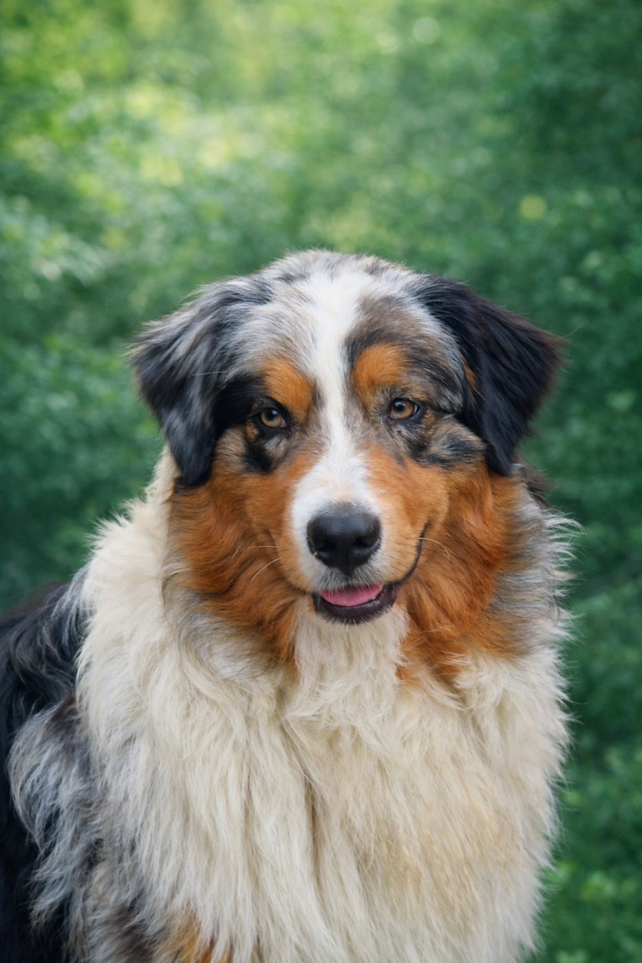 Wild wild west eastwood Of Jamandco